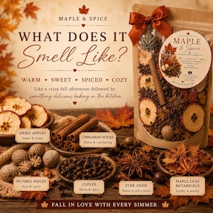 May include: A clear pouch of Maple & Spice simmer pot ingredients featuring dried apple slices, cinnamon sticks, star anise, cloves, nutmeg, and maple leaf botanicals. The package is tied with a brown ribbon and a metal maple leaf charm.