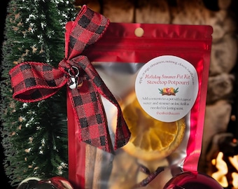 Potpourri natalizio da fornello - Kit per pentola a cottura lenta per le vacanze invernali - Fragranza naturale per la casa - Mela, arancia e cannella - Accogliente regalo di inaugurazione della casa