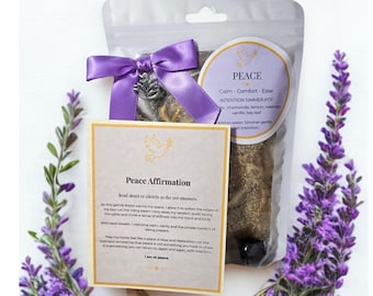 Kit de olla de cocción lenta para la paz / Ritual relajante / Popurrí para estufa / Regalo de relajación / Regalo de autocuidado / Olla de cocción lenta / Amuleto de cristal y loto / Duelo