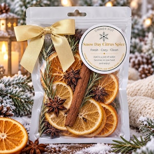 Winter Simmer Pot Kit – Cozy Winter Stovetop Potpourri – Orange, Rosemary, Star Anise – Natural Home Fragrance – Candle Warmer Ready