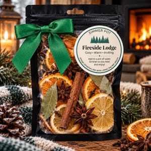 Winter Fireside Lodge Simmer Pot Kit – Cozy Cabin Stovetop Potpourri – Orange & Spice – Natural Winter Home Fragrance – Candle Warmer