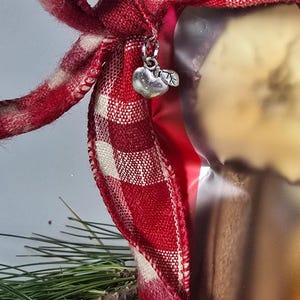 May include: A close-up of a red and white checkered ribbon tied in a bow. A small silver apple charm hangs from the ribbon. The background includes a glimpse of a decorative item and pine needles.