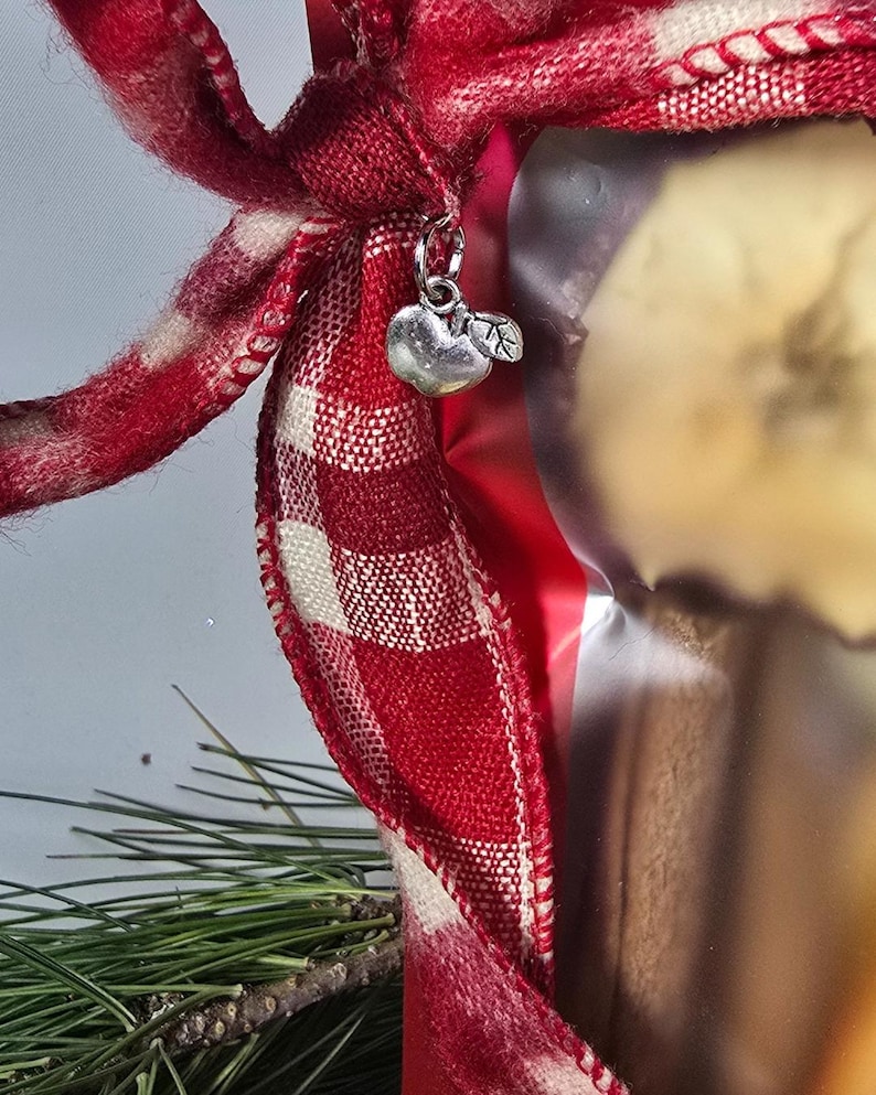 May include: A close-up of a red and white checkered ribbon tied in a bow. A small silver apple charm hangs from the ribbon. The background includes a glimpse of a decorative item and pine needles.