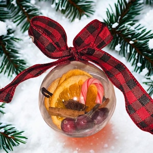 Puede incluir: Un adorno transparente y esférico lleno de rodajas de naranja secas, un bastón de caramelo, palitos de canela y arándanos. El adorno está atado con una cinta a cuadros roja y negra y colocado sobre un fondo nevado con ramas de hoja perenne.