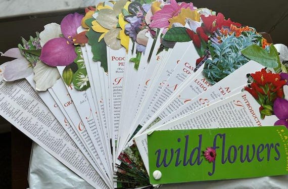 Wild Flowers Fandex Family Field Guildes