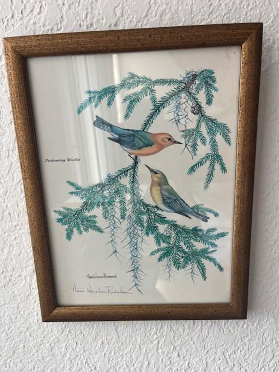 Anne Worsham Richardson Warbler Signed and Framed