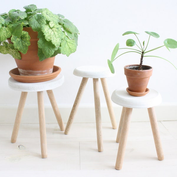 Trois outils de plantes / stands de plantes en bois et béton pour l’intérieur