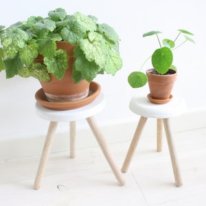 Two plantstools / plant stands made of wood & concrete for indoors