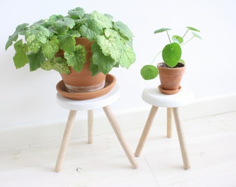 Deux tabourets / supports pour plantes en bois et béton pour l'intérieur