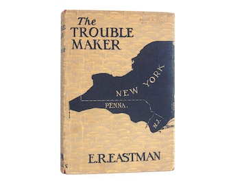 The Trouble Maker - antique novel of New York state from 1926 - Free US Shipping