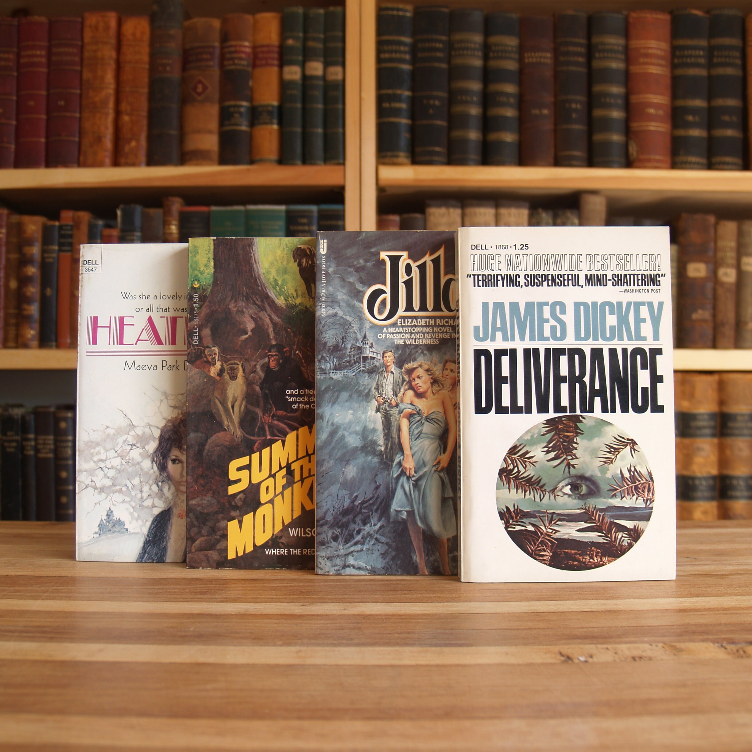 Collection of 12 Vintage Fiction Paperbacks From the 1970s