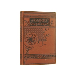 Lily Lass - antiquarian novel by Irish author Justin Huntly McCarthy - Free US Shipping