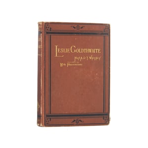 A Summer in Leslie Goldthwaite&#39;s Life - antiquarian juvenile fiction by A. D. T. Whitney from 1875 - Free US Shipping