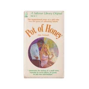 Pot of Honey - vintage paperback novel by John Furlough from 1966 - Free US Shipping