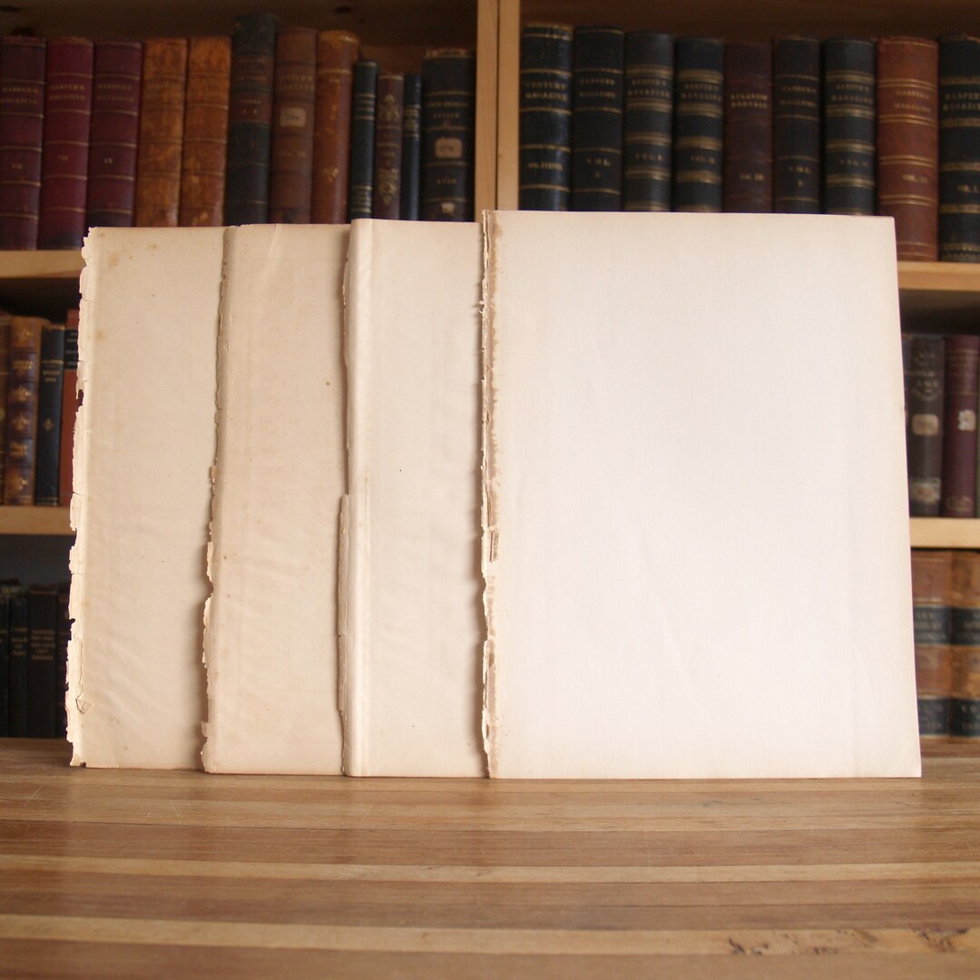 Ten Blank Sheets of Antique Paper Saved From Disbound Books, Approx. 8 ...
