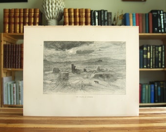 May include: A black and white engraving of a landscape with a cloudy sky and a single figure in the distance. The text "THE PLAINS OF SYRIA" is printed below the image.