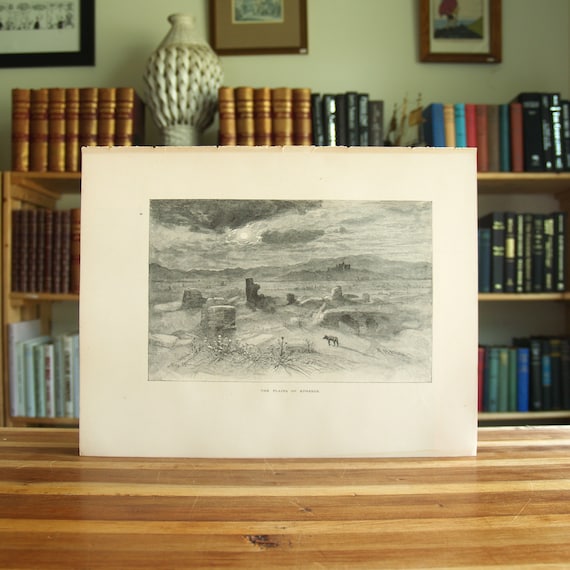 The Plains Of Epheseus - antique engraving print from the 1890 book "The Picturesque Mediterranean" - Free US Shipping