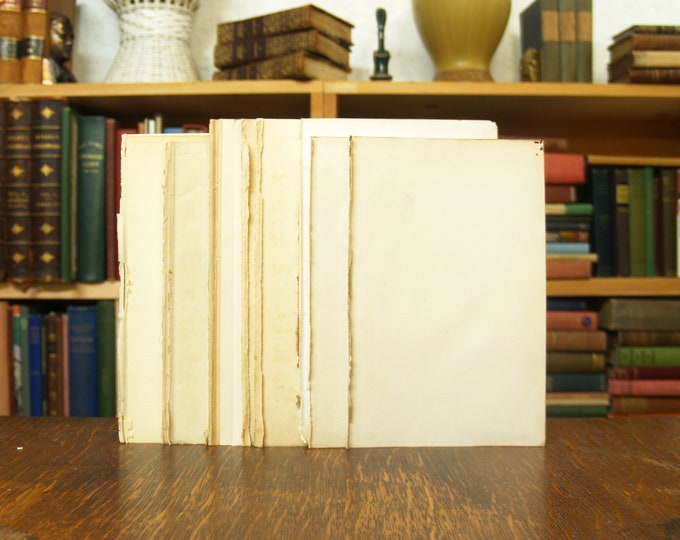 Fifteen Blank Sheets of Antique Paper Saved From Disbound Books, Approx ...