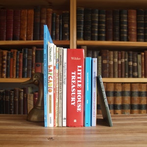 Collection of ten classic children&#39;s books - Little House, Angelina, Seuss and more - Free US Shipping