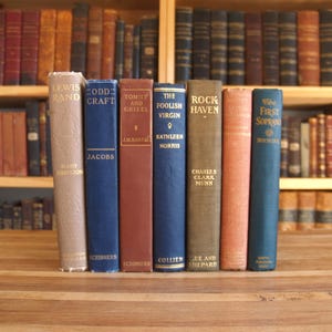 Seven vintage and antique hardcover novels in multicolored bindings - Free US Shipping