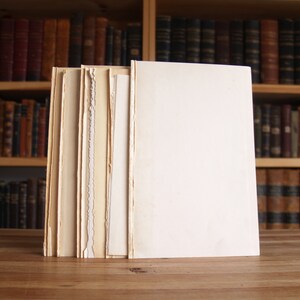 Fifteen blank sheets of antique paper saved from disbound books, approx. 5 x 7 inches each - Free US Shipping