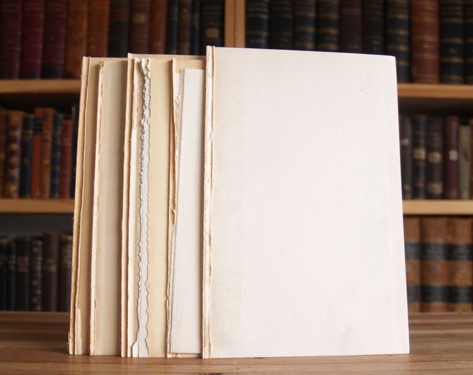 Fifteen Blank Sheets of Antique Paper Saved From Disbound Books, Approx ...