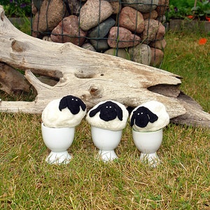 Egg Warmers, Fluffy Sheep, Felted Egg Cozy, White lambs black faces, Tabble Decoration, Home decor, Easter egg warmer image 1