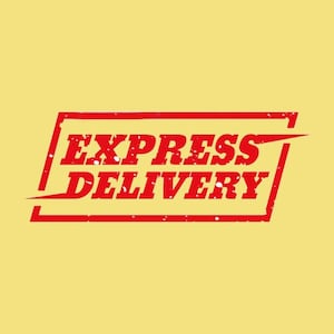 May include: A red rectangular graphic with the words "EXPRESS DELIVERY" in a distressed font. The graphic has a yellow background and is designed to look like a stamp.