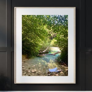 Wald Fluss Natur Foto druckbare, Griechenland Wald Foto Reise Poster druckbare, Naturalismus Wald Wandkunst, druckbare grüne Wald Wandkunst