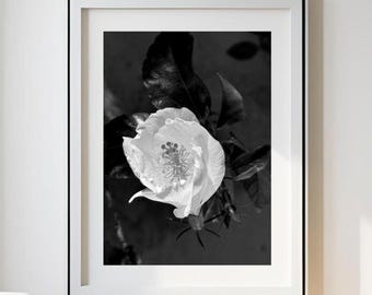Hibiscus Flower Wall Art Printable | Black & White Tropical Floral