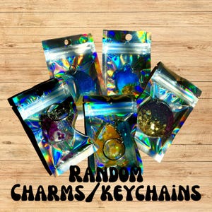 Mystery Keychain or Charm • Random Cute Accessory Surprise • Fun Gift for Her • Kawaii Bag Charm • Blind Bag Style Jewelry