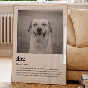 May include: A framed black and white print featuring a smiling Labrador Retriever. The print includes the word "dog" and a definition. The print is displayed on a woven rug near a beige sofa and wooden side table.