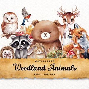 Watercolor Woodland Animals Clipart: Fall Forest Bundle (PNG)