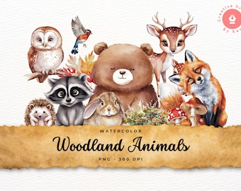 Watercolor Woodland Animals Clipart: Fall Forest Bundle (PNG)