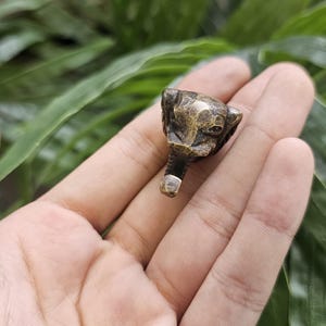 May include: A small, antique-style brass bottle stopper featuring a detailed animal head design. The stopper is held in a hand against a backdrop of green foliage. The stopper's color is a mix of gold and brown.
