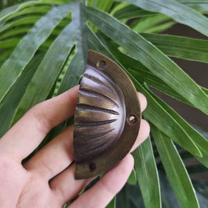 May include: An antique brass drawer pull in a half-circle shape with a ridged design. The hardware has two screw holes and is set against a backdrop of green leaves.