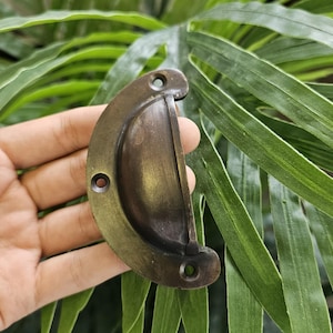 May include: A bronze-coloured, half-moon shaped cabinet pull with two screw holes. The handle is held against a backdrop of green leaves. The pull is made of metal and has a vintage appearance.