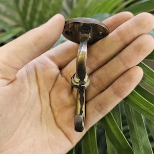 May include: A vintage-style brass hook with a circular mounting plate and a curved hook. The hook is held in a hand against a backdrop of green foliage. The hook has a decorative knot detail.