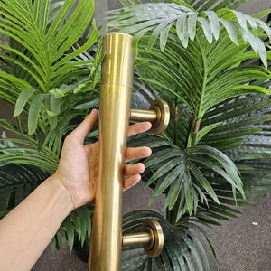 May include: A brass door pull with a cylindrical design and two circular mounting plates. The hardware is held in front of a backdrop of green palm leaves, suggesting a tropical or modern aesthetic.