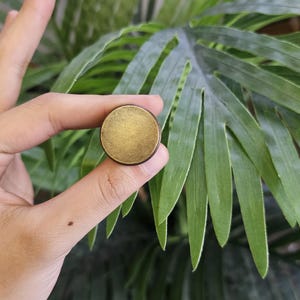 May include: A small, round, brass-coloured object with a dark rim is held between fingers against a backdrop of green plant leaves. The object has a textured surface and appears to be a decorative element or hardware.