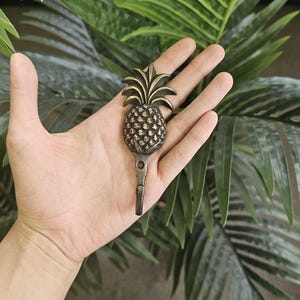 Puede incluir: Un gancho en forma de piña de color bronce. El gancho se sostiene en una mano, con el diseño de piña en la parte superior y un gancho que se extiende hacia abajo. El fondo presenta plantas verdes y frondosas.