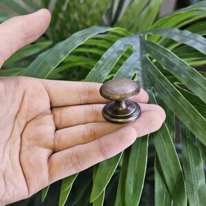 May include: A small, antique-style cabinet knob with a bronze finish. The knob has a rounded top and a decorative base. The image is set against a backdrop of green foliage.