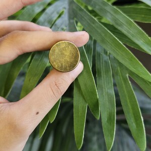 May include: A small, circular, brass-toned object with a textured finish. It is held between fingers, set against a background of green, pointed leaves. The object is likely a decorative item.