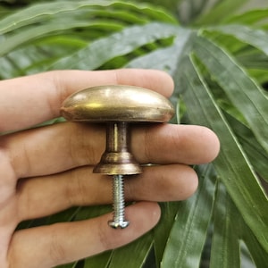 May include: A brass cabinet knob with a rounded top and a threaded screw. The knob is held in a hand, with green leaves in the background. The knob is a furniture hardware item.