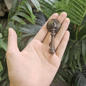 May include: A bronze cabinet pull with a decorative design. The pull features a circular top, a central post, and a long handle. The hardware is held in a hand against a backdrop of green foliage.