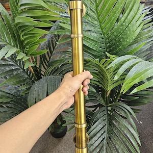 May include: A decorative brass curtain rod with ornate floral detailing. The rod is held against a backdrop of green palm leaves. The rod's design features a series of decorative rings and finials, adding a touch of elegance.