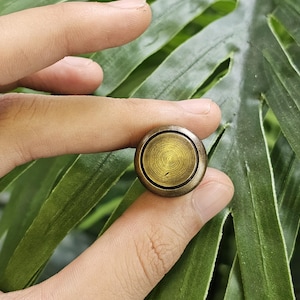 May include: A small, round, brass-coloured object with a spiral design on its surface. The object is held between two fingers against a backdrop of large, green leaves. The object appears to be a decorative button or a small knob.