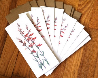 Scarlet bugler notecards