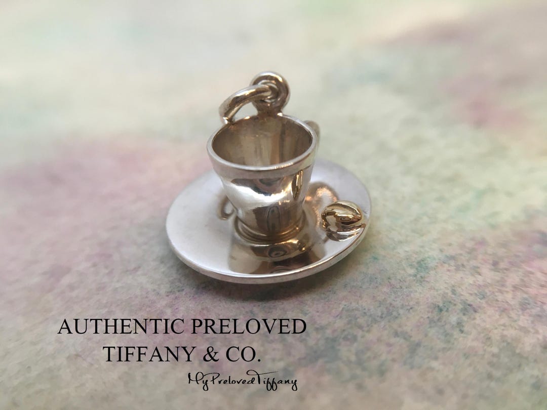 Excellent Authentic RARE Tiffany & Co. Paloma Picasso Silver