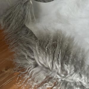 Puede incluir: Una alfombra de piel sint&eacute;tica gris con una superposici&oacute;n de tela blanca transparente. La piel es larga y esponjosa, y la tela es delicada y transl&uacute;cida.
